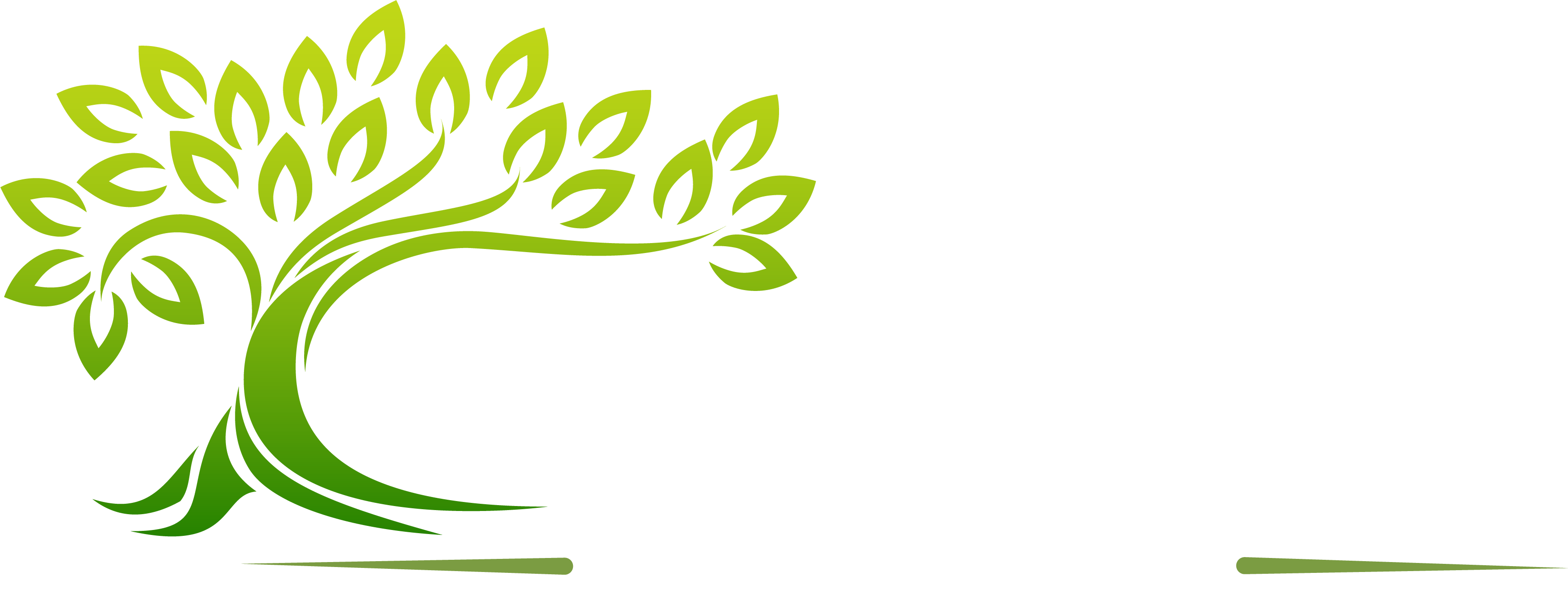 HealingChoice